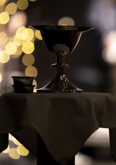 The Table Experience